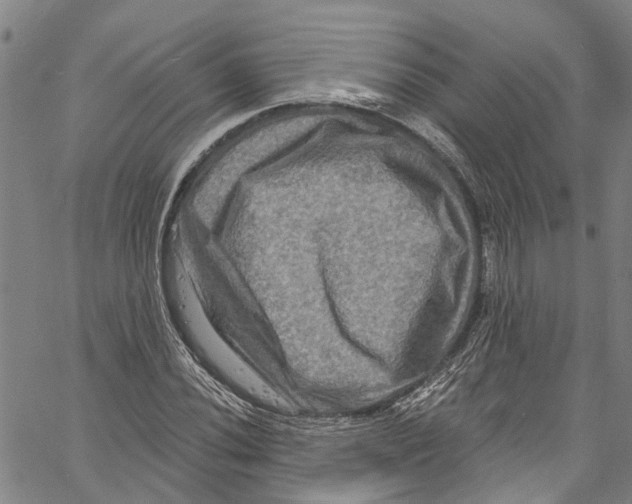 X0000061151020200512161550