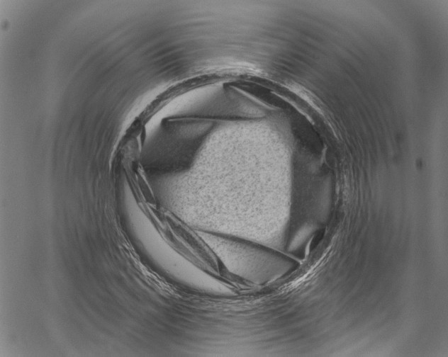 X0000061151022200512161550