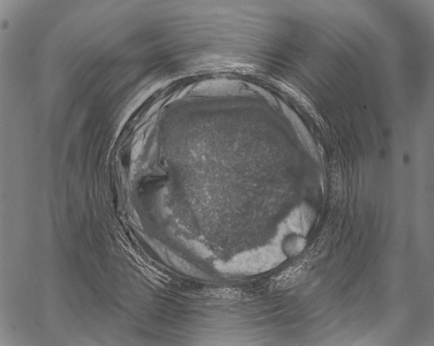 X0000061151023200512161550