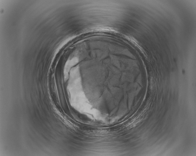 X0000061151024200512161550