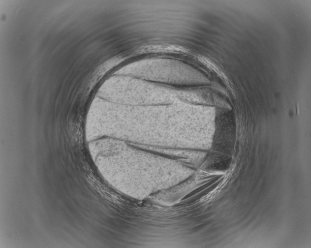 X0000061151025200512161550