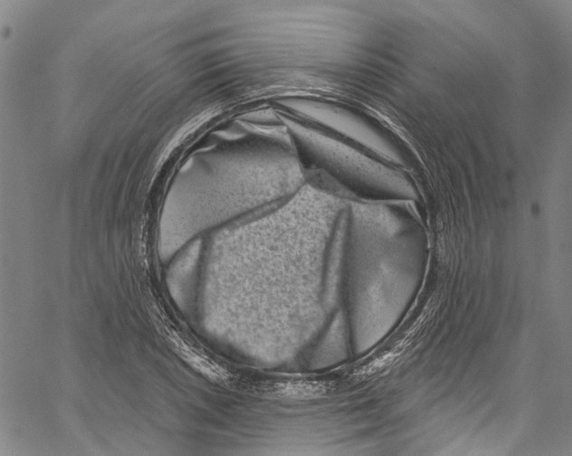 X0000061151026200512161550