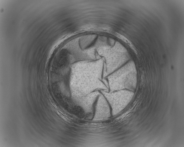 X0000061151027200512161550