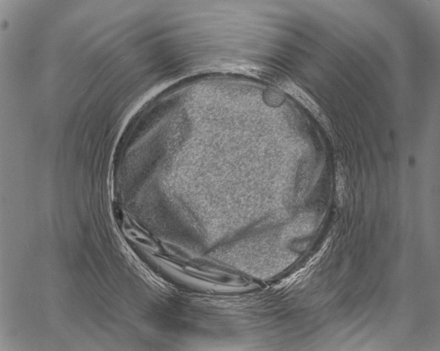 X0000061151028200512161550