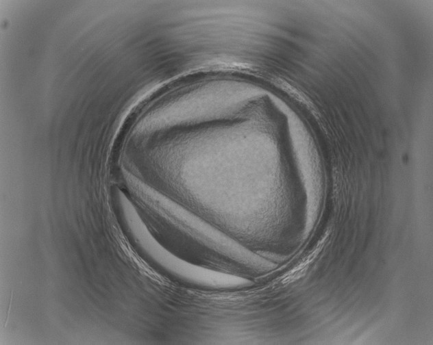 X0000061151029200512161550