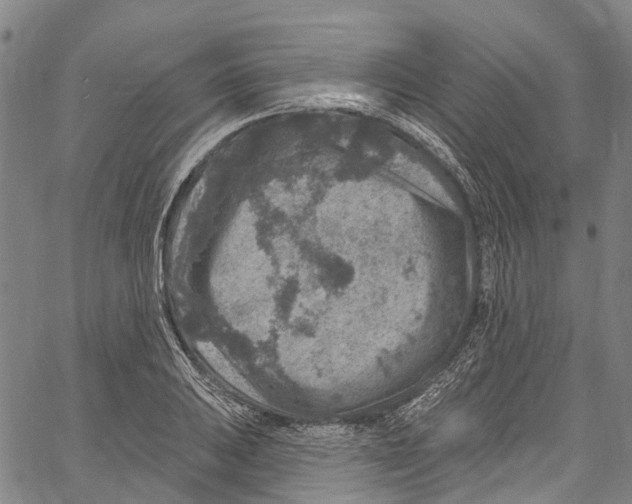 X0000061151031200512161550