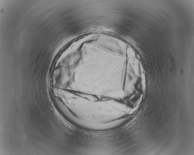 X0000061151032200512161550