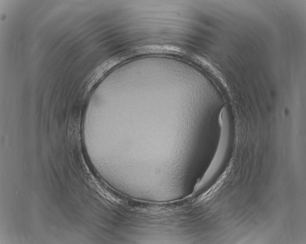 X0000061151033200512161550