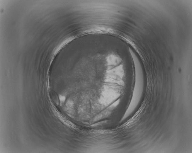 X0000061151034200512161550