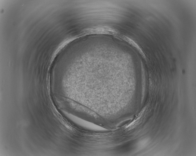 X0000061151035200512161550