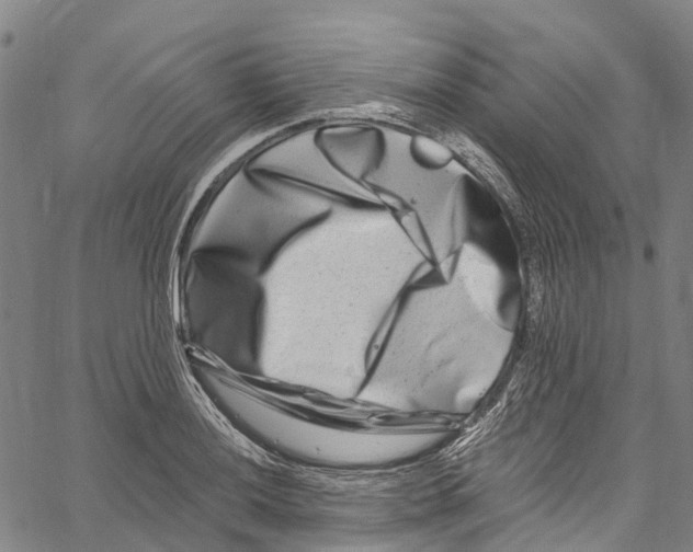 X0000061151036200512161550