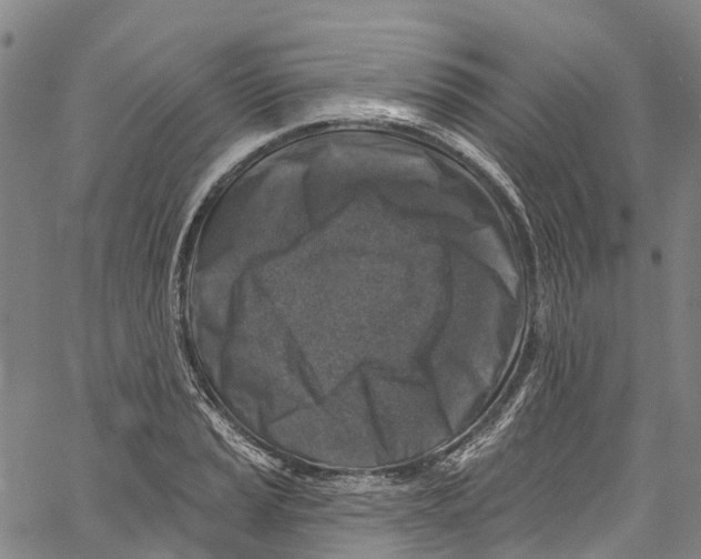 X0000061151037200512161550