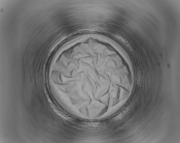 X0000061151039200512161550