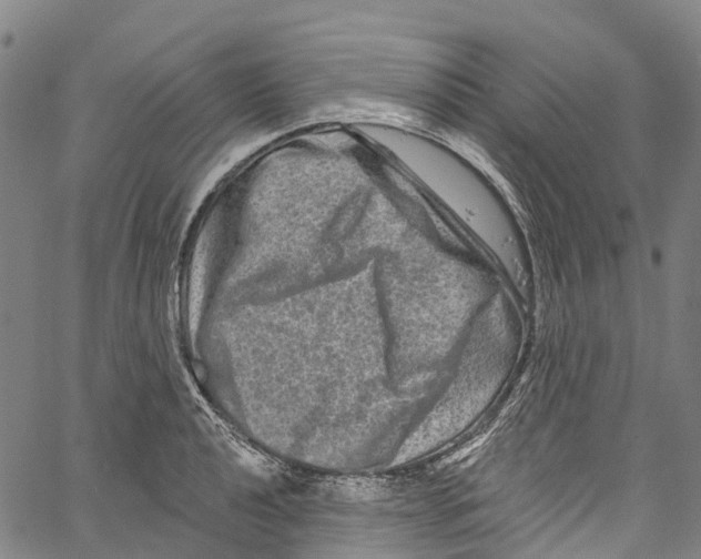 X0000061151040200512161550