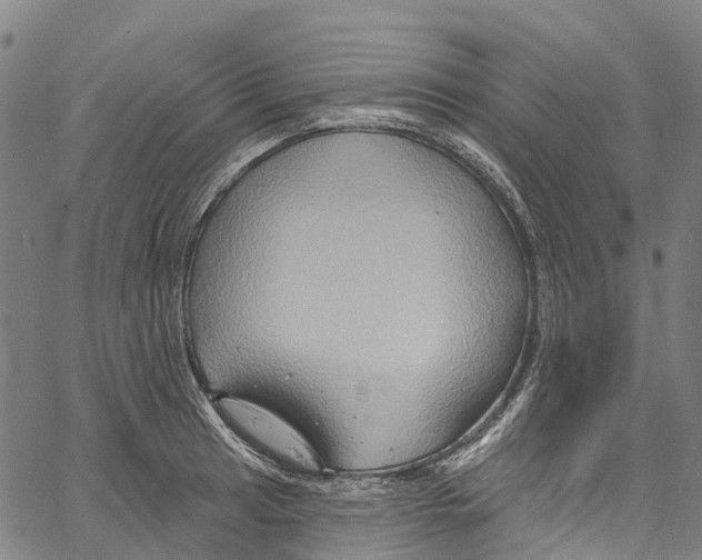 X0000061151041200512161550