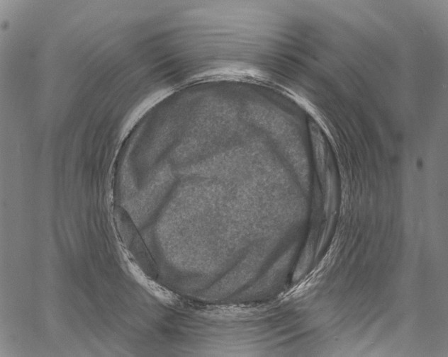 X0000061151042200512161550