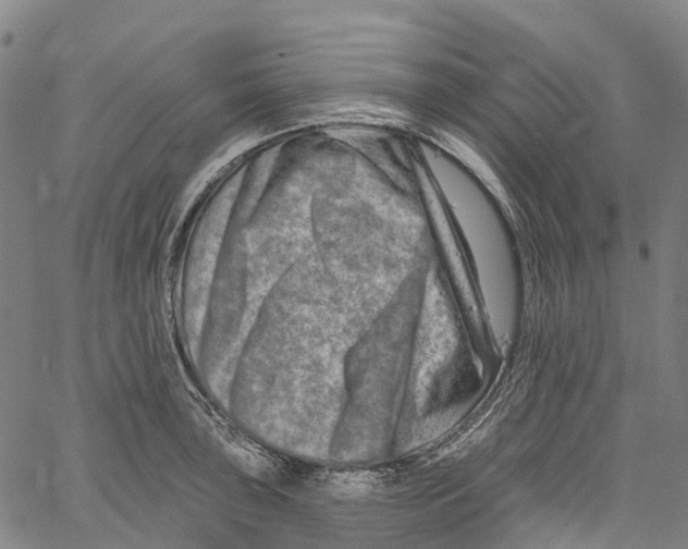 X0000061151043200512161550