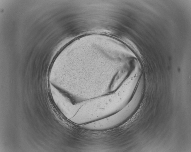 X0000061151044200512161550