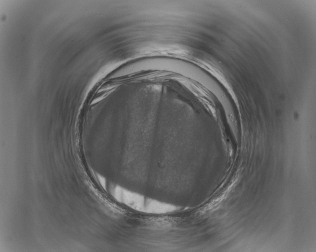 X0000061151045200512161550