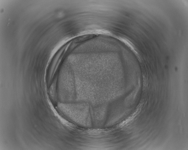 X0000061151046200512161550