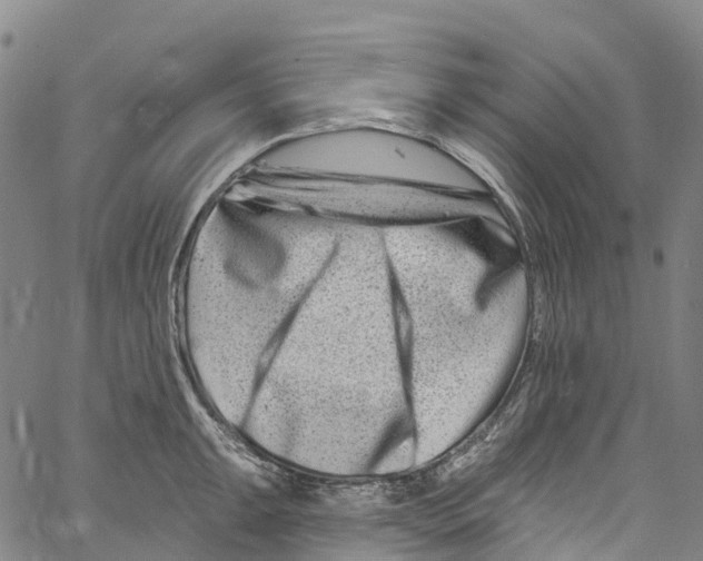 X0000061151047200512161550