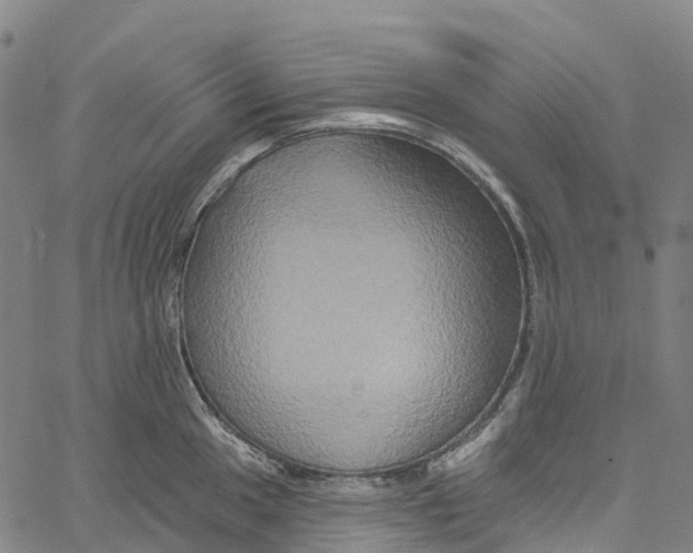 X0000061151049200512161550