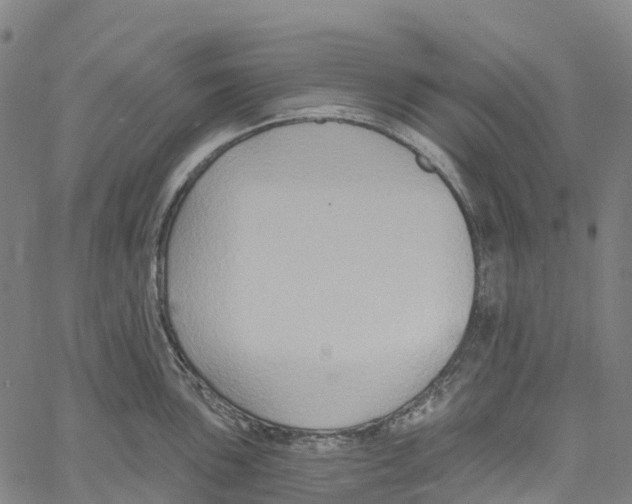 X0000061151051200512161550