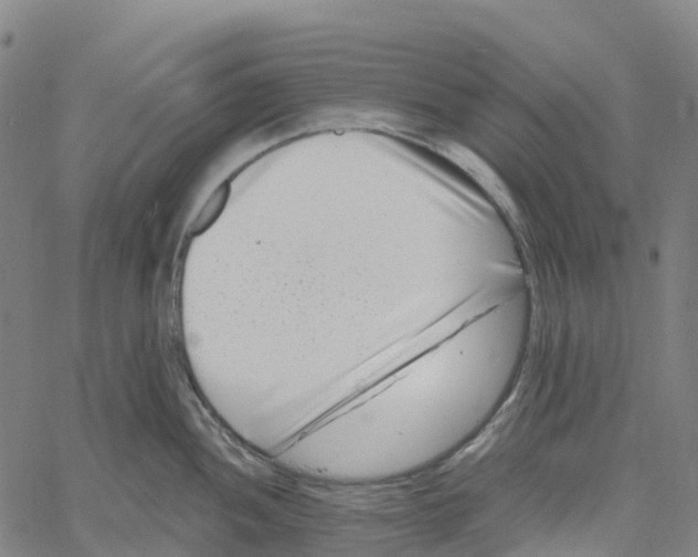 X0000061151052200512161550