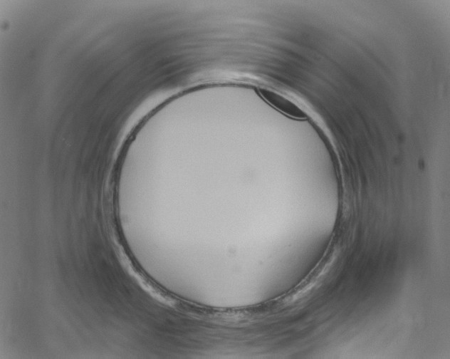 X0000061151053200512161550