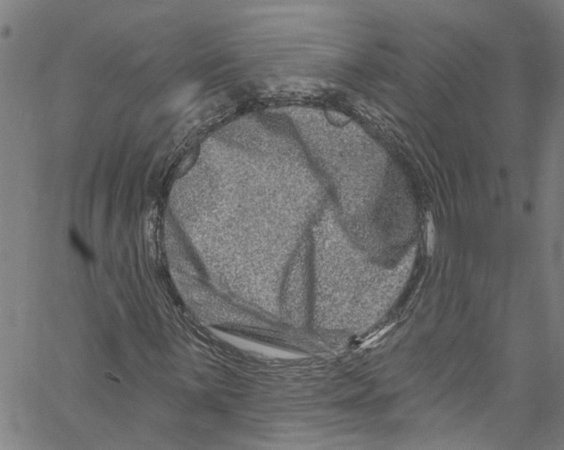 X0000061151059200512161550