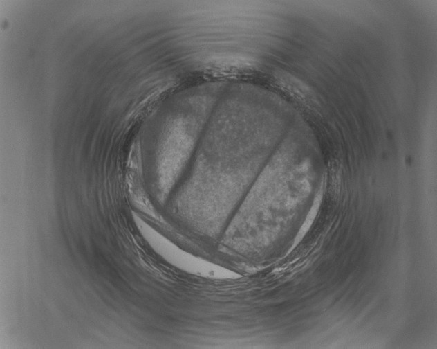 X0000061151060200512161550