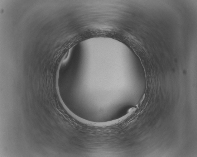 X0000061151061200512161550