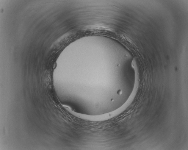 X0000061151062200512161550