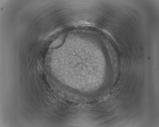 X0000061151063200512161550