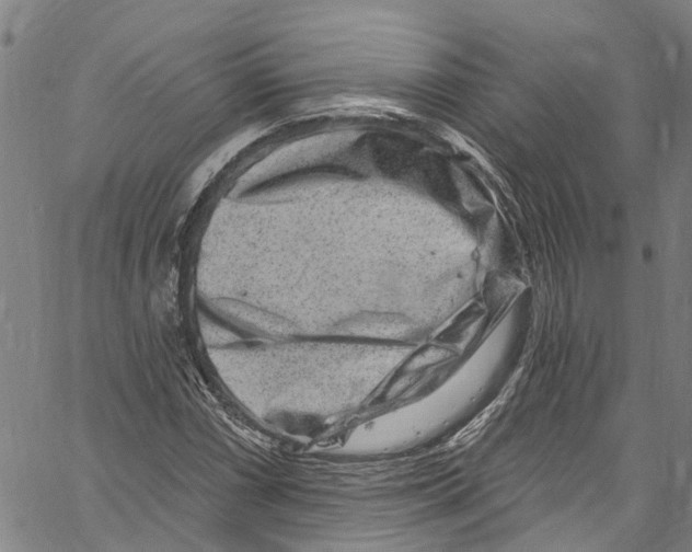 X0000061151066200512161550