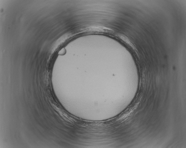 X0000061151067200512161550