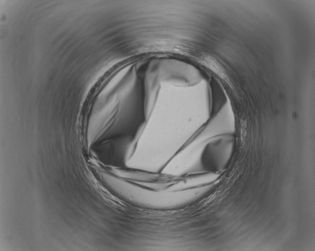 X0000061151068200512161550