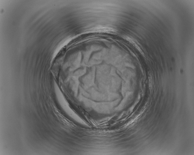 X0000061151069200512161549