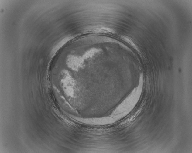 X0000061151071200512161549