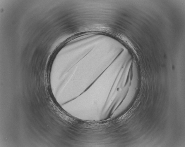 X0000061151072200512161549