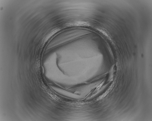 X0000061151073200512161549