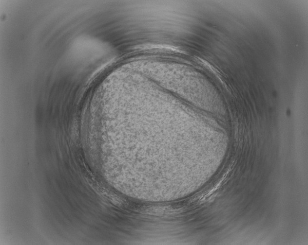 X0000061151074200512161549