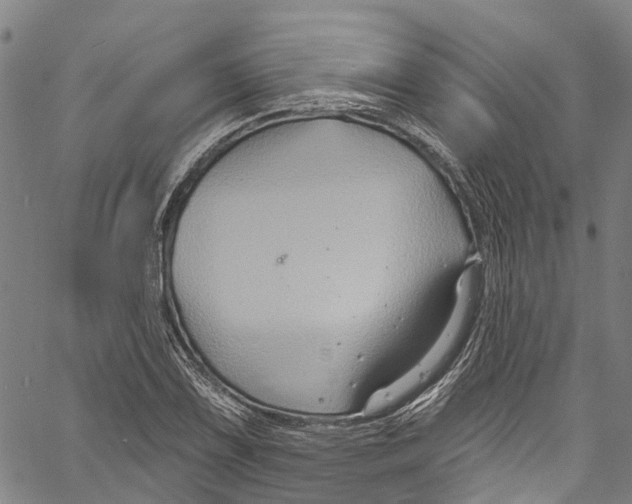 X0000061151075200512161549