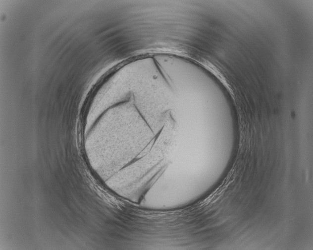 X0000061151076200512161549