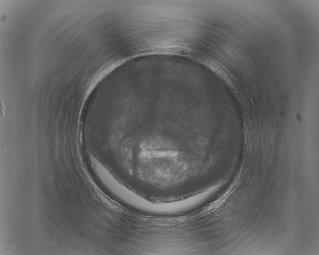 X0000061151077200512161549