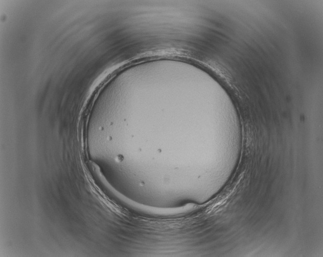 X0000061151078200512161549