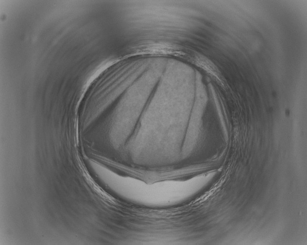 X0000061151079200512161549