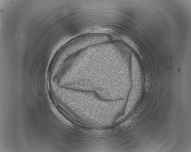 X0000061151080200512161549