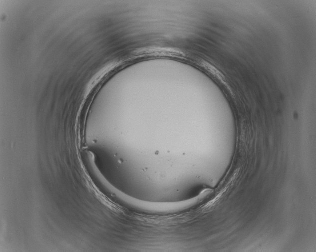 X0000061151082200512161549