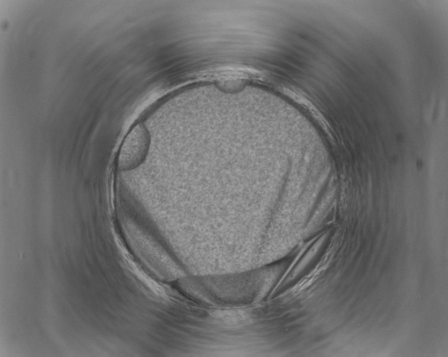 X0000061151083200512161549